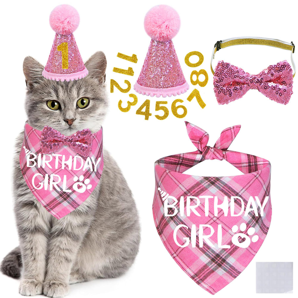 STMK cat birthday hat on a festive pet, ideal for adorable photos and celebrations