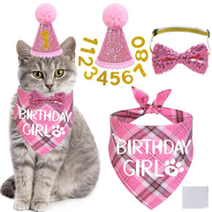 STMK cat birthday hat on a festive pet, ideal for adorable photos and celebrations