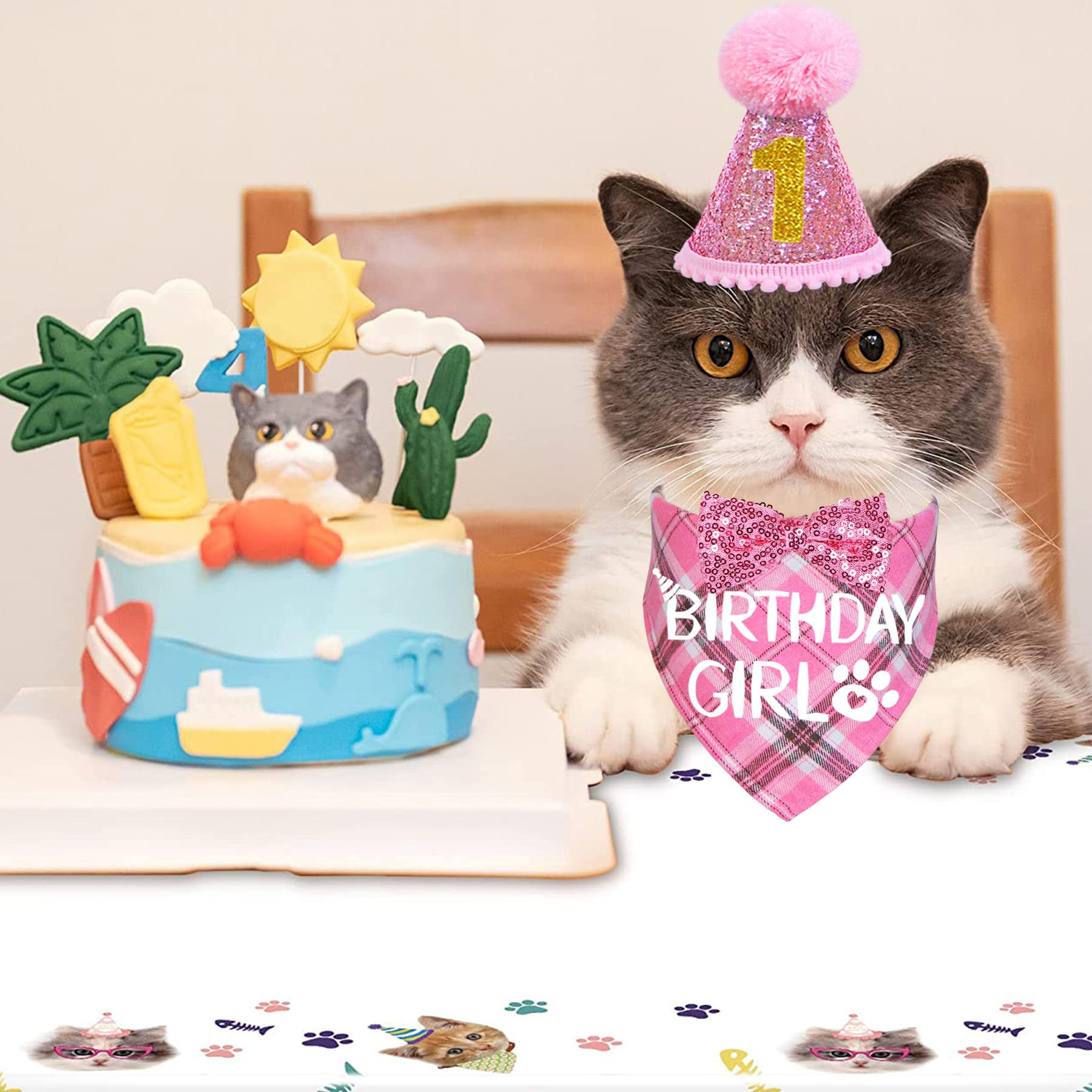 STMK birthday package shown, complete set for coordinated pet party styling