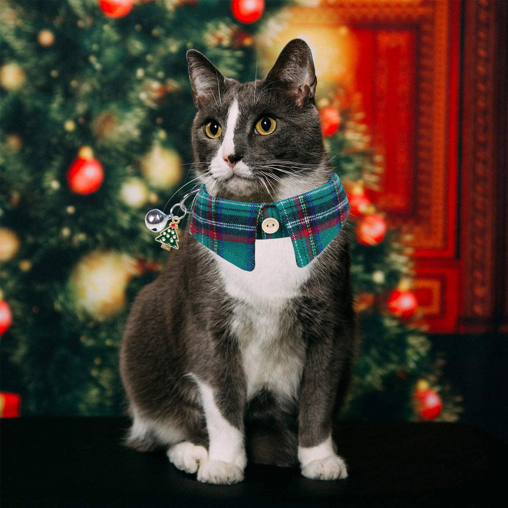 STMK festive cat collar worn as photo prop or daily wear.