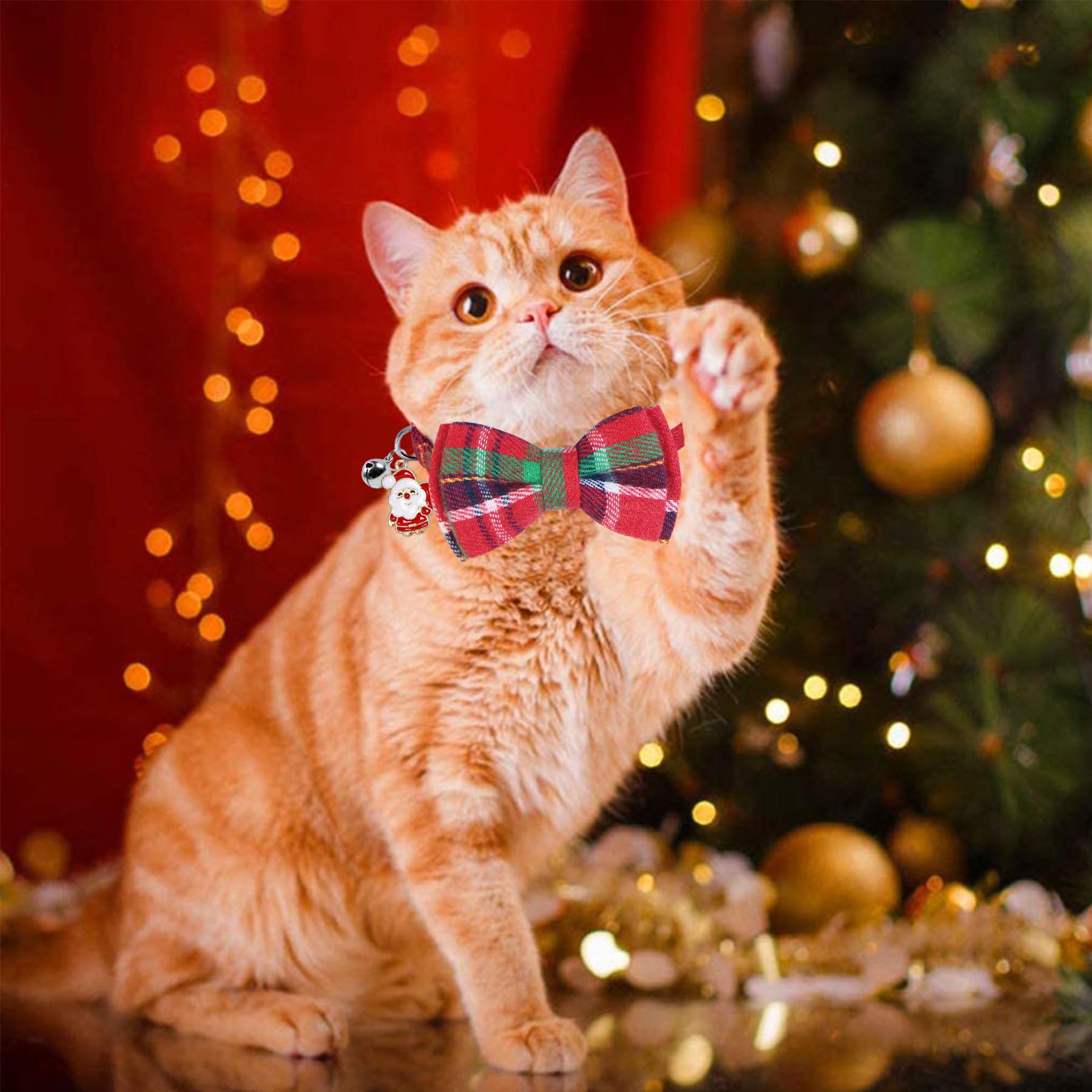 STMK adjustable 8-12 inch collar demonstrates versatile fit for most cats.