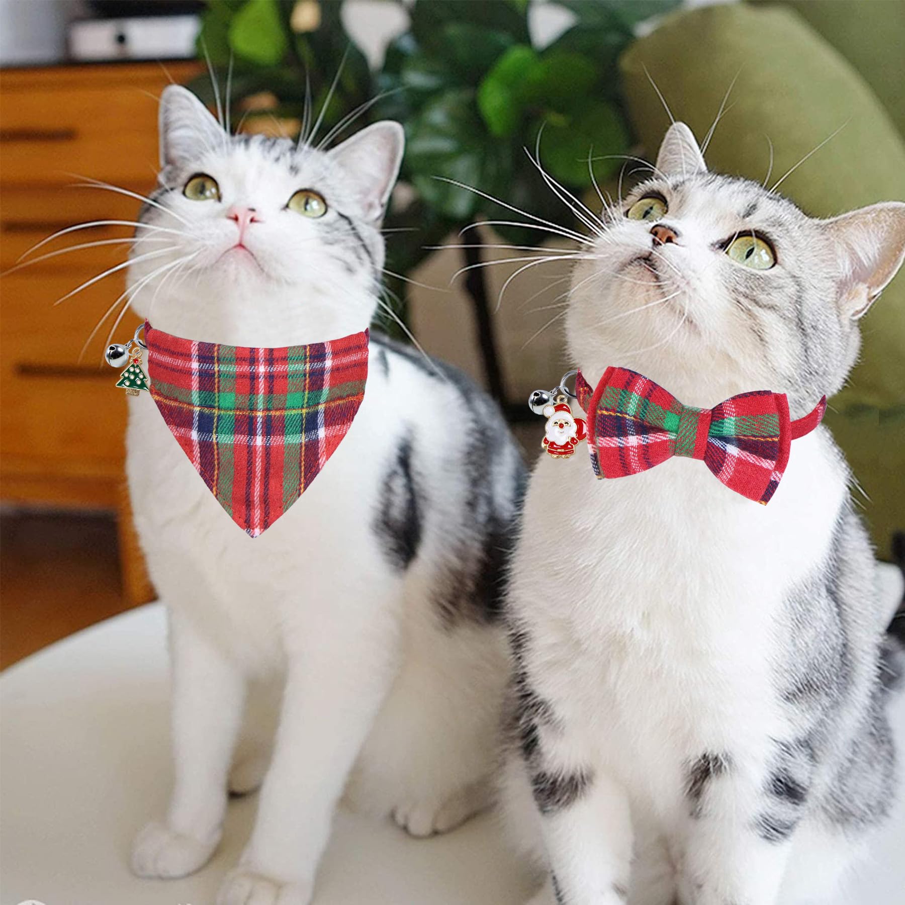 STMK festive costumes capture playful holiday moments with cats wearing Christmas outfits.