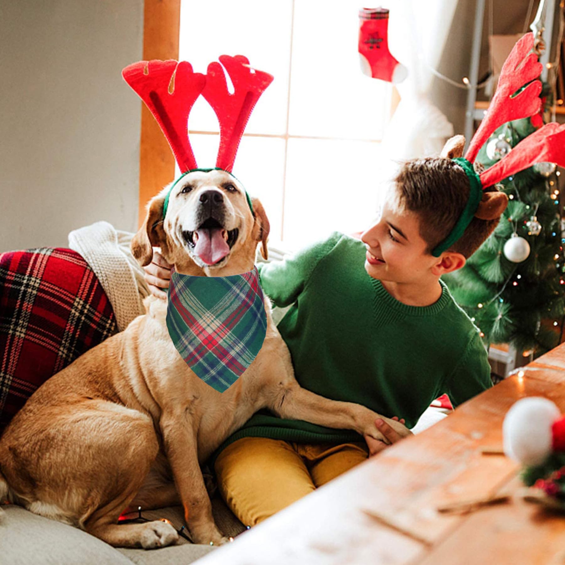 STMK christmas dog bandana care guidance emphasizing gentle washing.