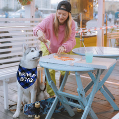STMK dog birthday bandana large size 26in fits up to 18in necks.