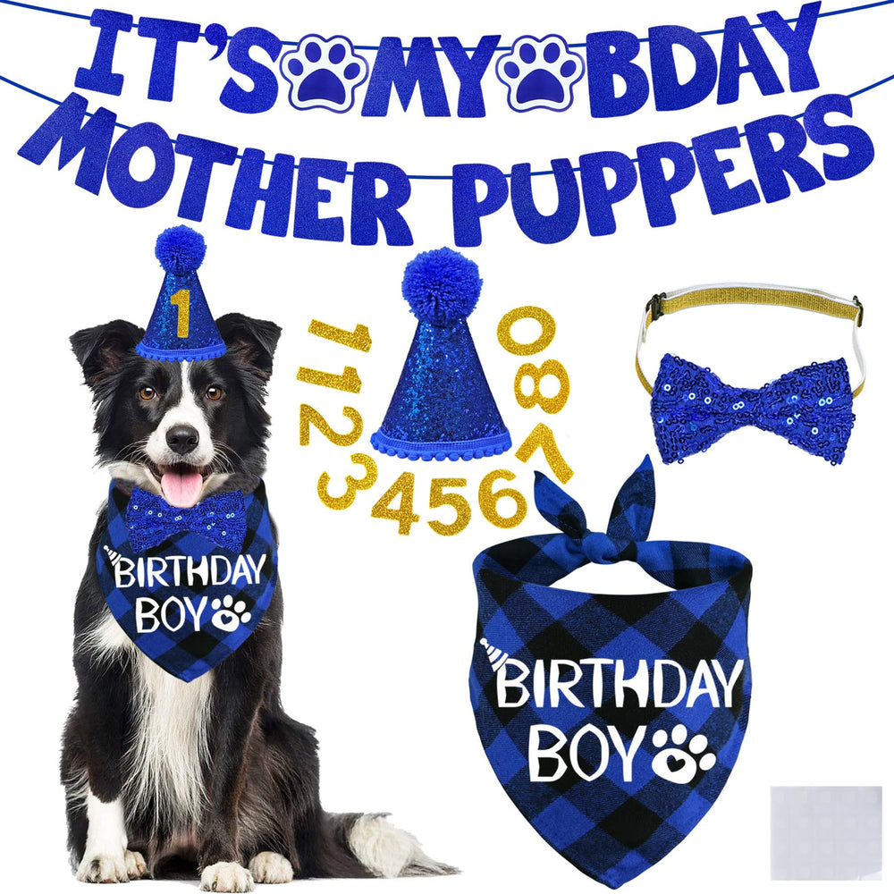 STMK dog birthday banner creates a festive photo backdrop for lasting memories.