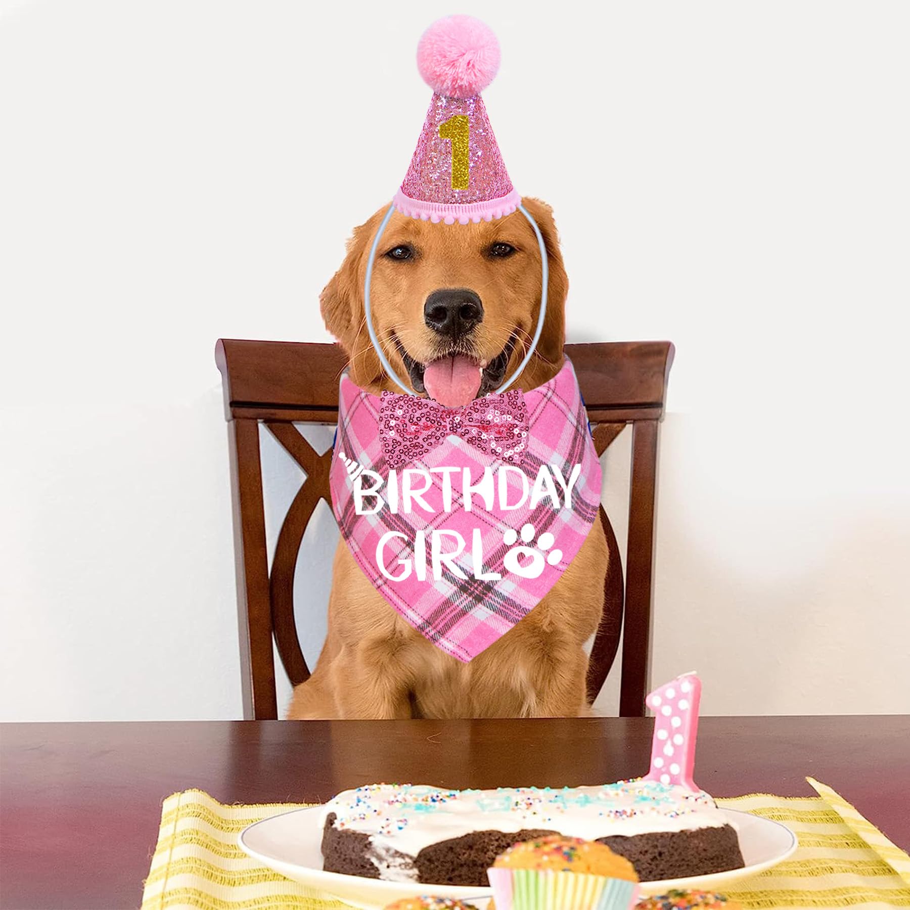 STMK dog birthday hat xl for larger dogs and standout party look.