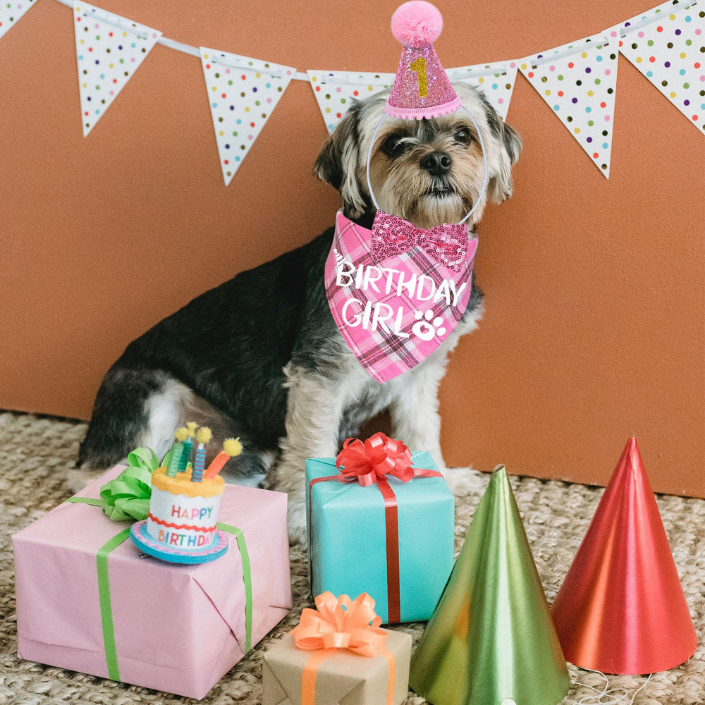 STMK birthday package contents includes hat bandana bow tie numbers glue points