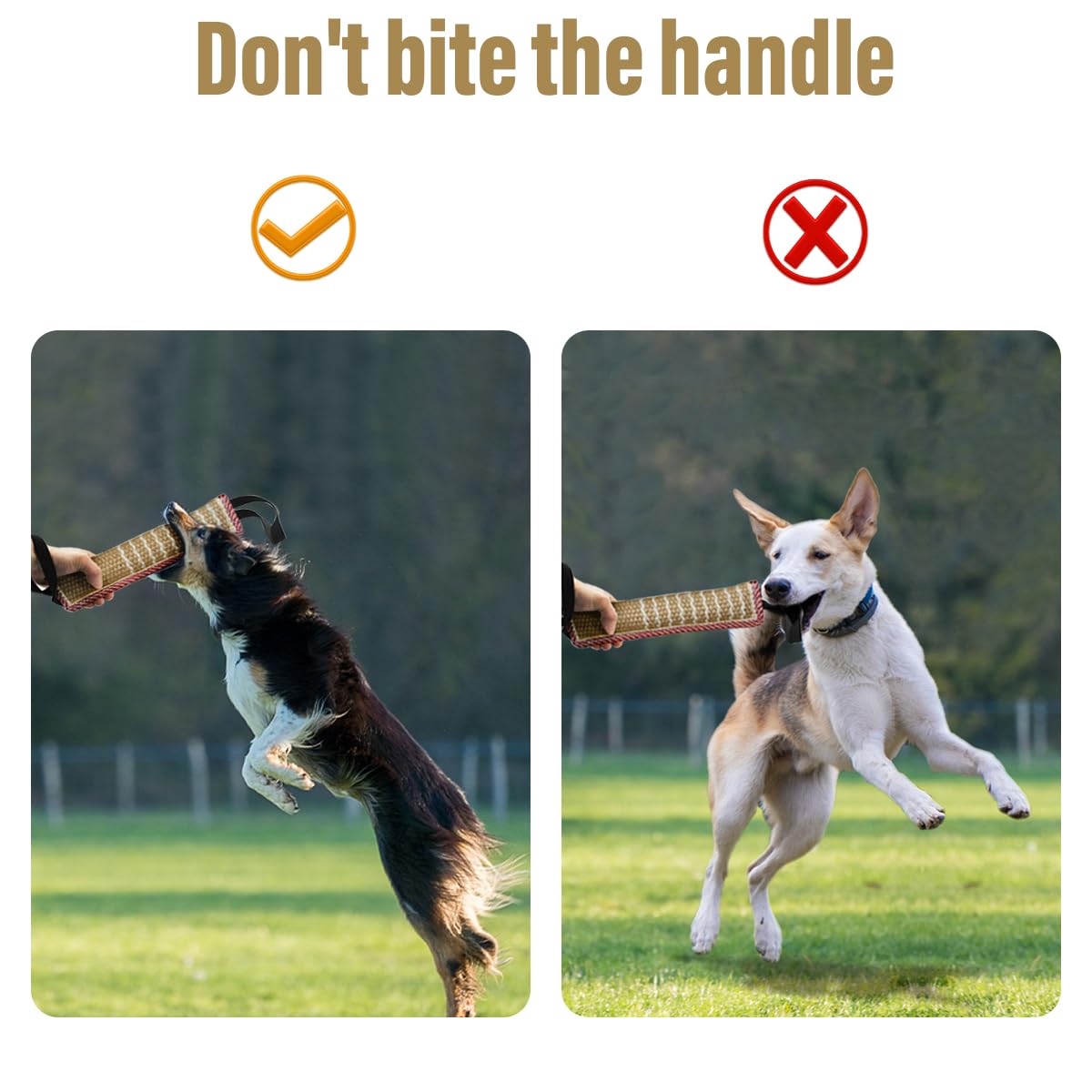 Storystore dog tug toy dimensions 11.8 by 3.15 inches for safe interaction