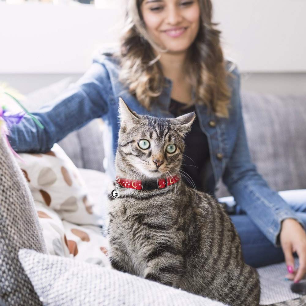 Stpiatue cat collar shown on kitten with bell