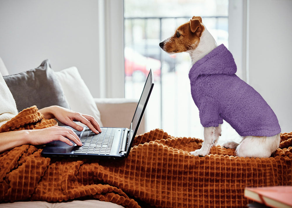 Stpiatue dog hoodie sleeve closeup demonstrates stretchy cuffs blocking cold.