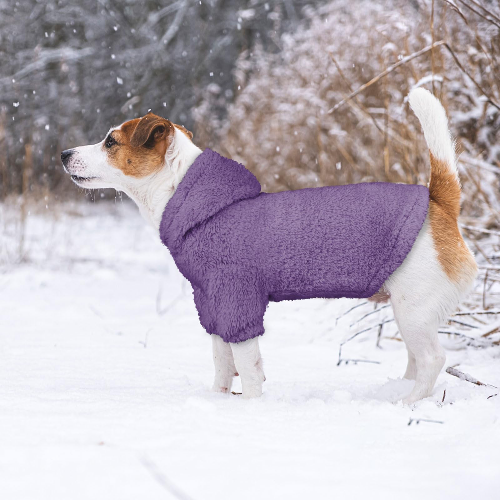 Stpiatue fuzzy dog sweater large purple-l back view shows full back warmth