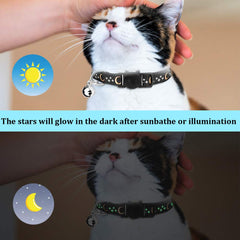 Stpiatue kitten collar with glowing star in dark