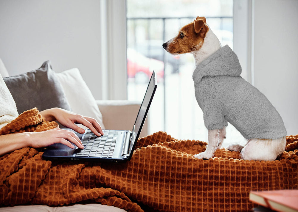 Stpiatue machine washable polyester dog hoodie demonstrating easy care
