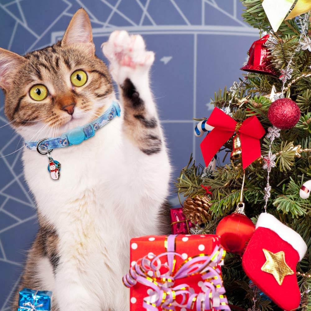 Stpiatue pendant red socks on collar adds cute holiday detail