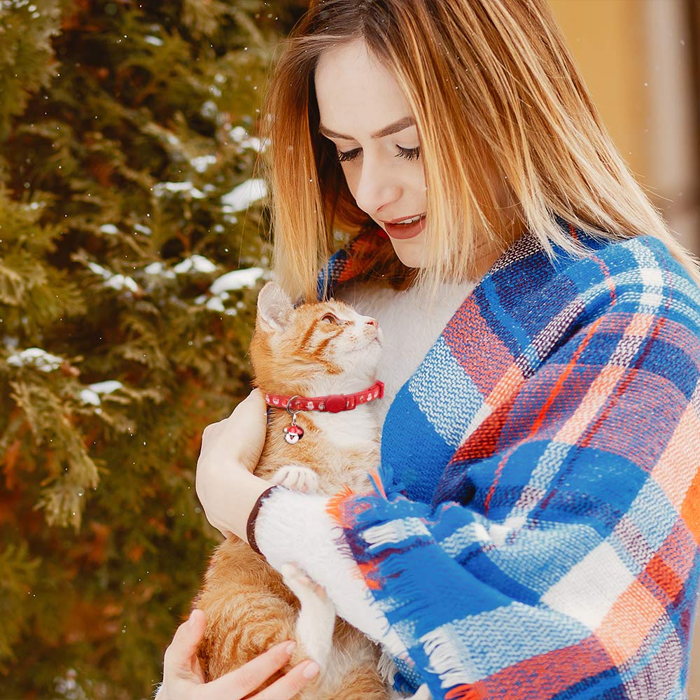 Stpiatue pendant snowman on collar adds playful seasonal flair
