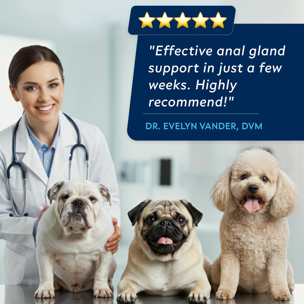 STRELLALAB Anal Gland Chews label highlights natural ingredients and USA-made quality.