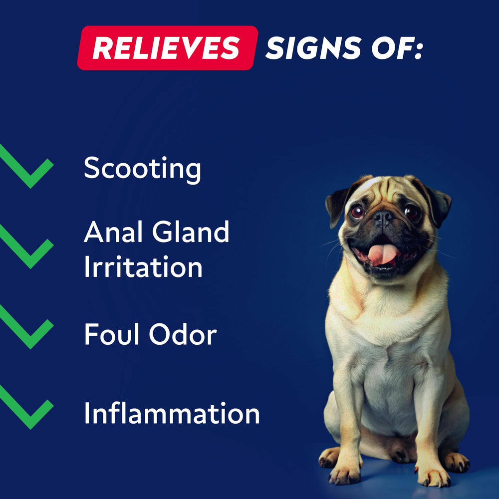 STRELLALAB Anal Gland Chews pumpkin-beet-psyllium shown highlighting fiber-rich digestion support.