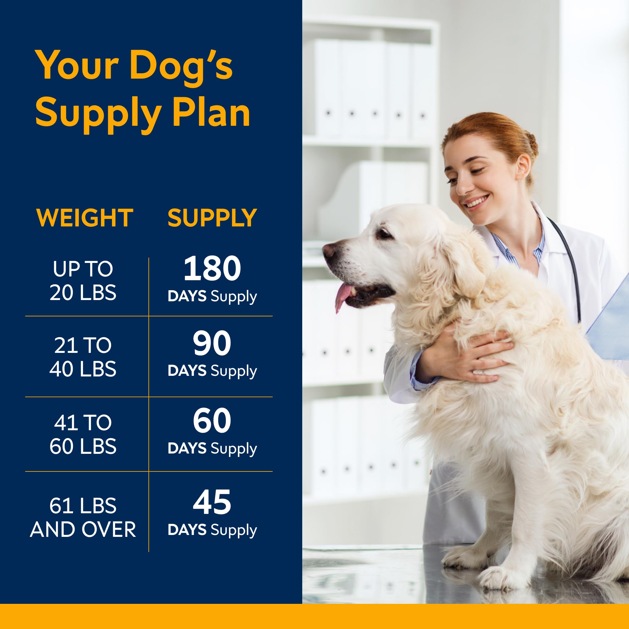 STRELLALAB calming treats dogs closeup showcases a peaceful, happy canine.