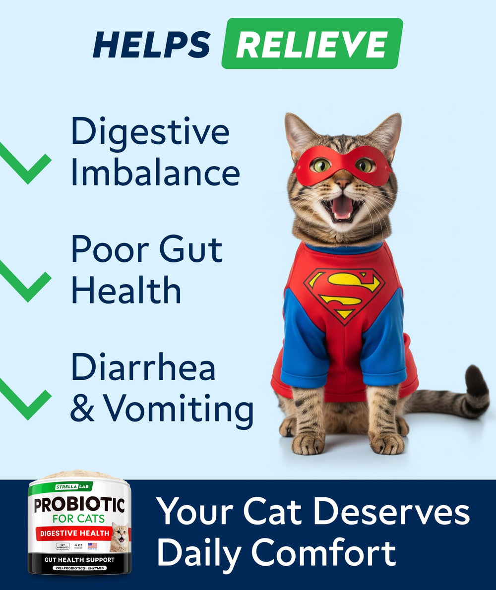 Close-up of StrellaLab Cat Probiotic Powder texture highlighting the probiotic blend