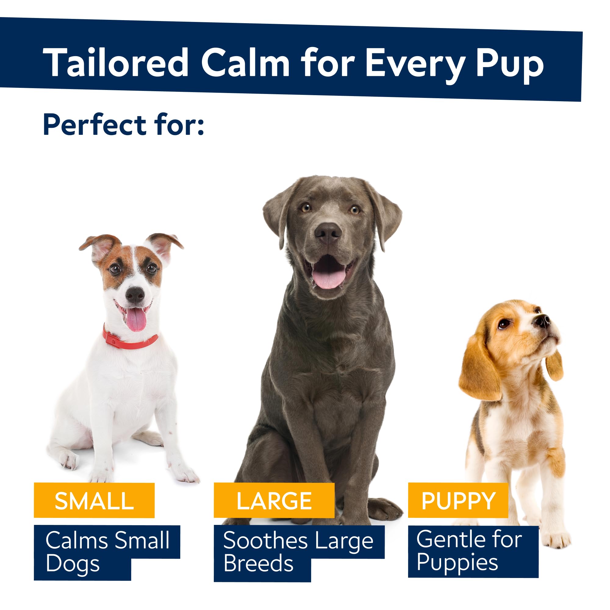 STRELLALAB hemp oil chews for dogs – soft bite supporting restful sleep after fireworks and separation