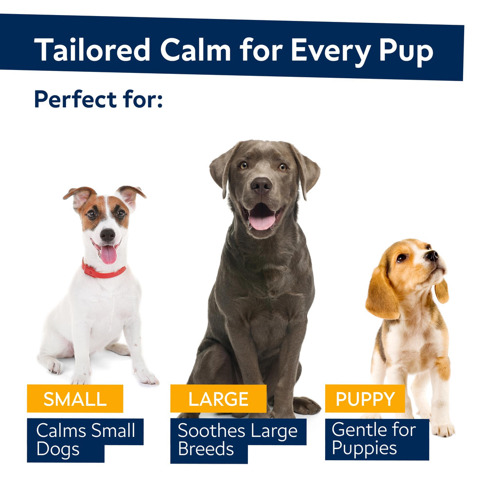 STRELLALAB hemp oil chews for dogs – soft bite supporting restful sleep after fireworks and separation