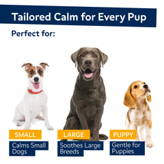 STRELLALAB hemp oil chews for dogs – soft bite supporting restful sleep after fireworks and separation