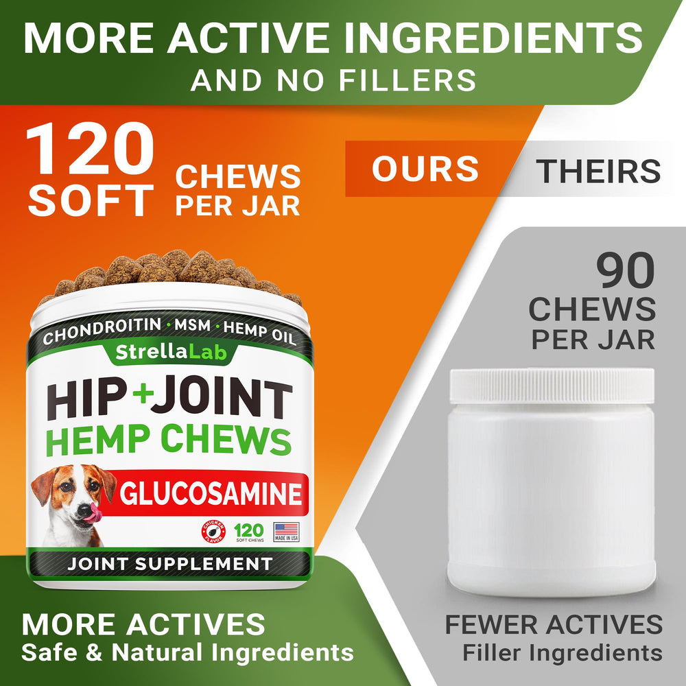STRELLALAB dog enjoying chewy joint support during play