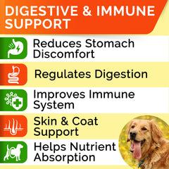 STRELLALAB Dog Probiotics Chews given to a dog during daily feeding for digestion support