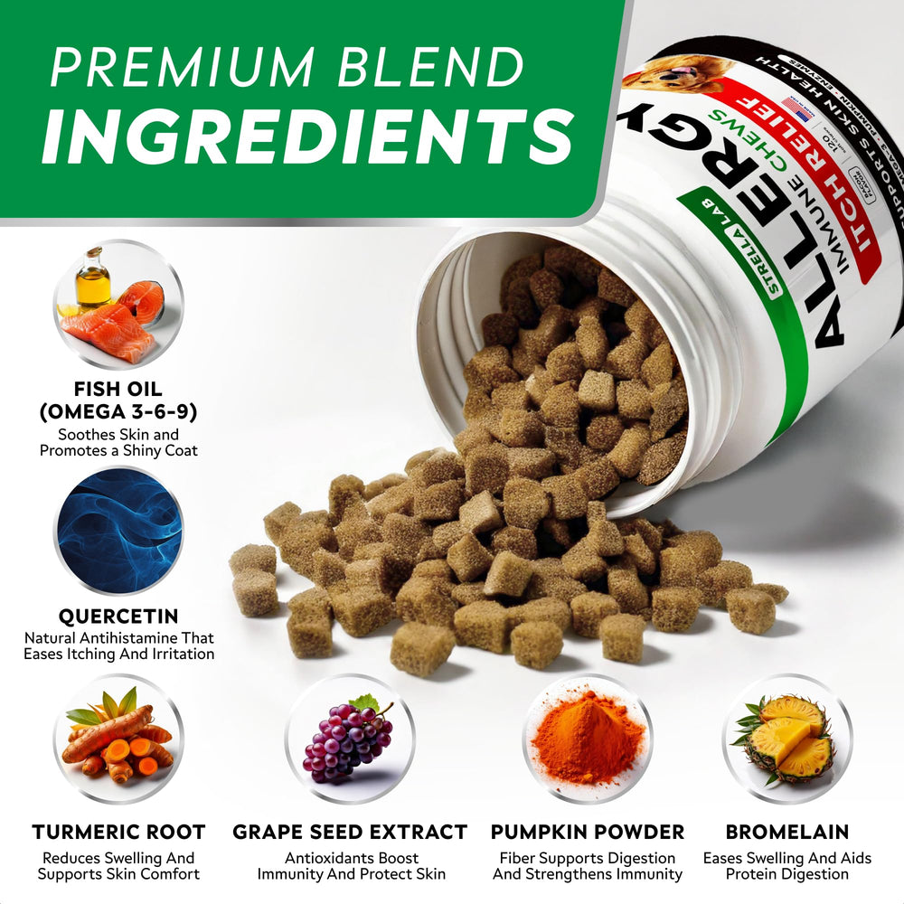 STRELLALAB dog skin health chews on a dish highlighting coat nourishment.