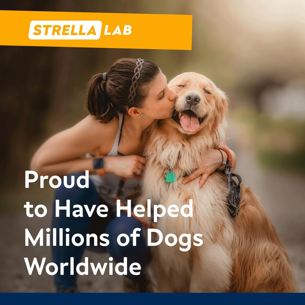 STRELLALAB dog treats tasty chew promotes smoother separation routines.