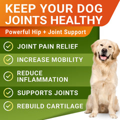 STRELLALAB ingredients label highlights glucosamine and chondroitin for joints