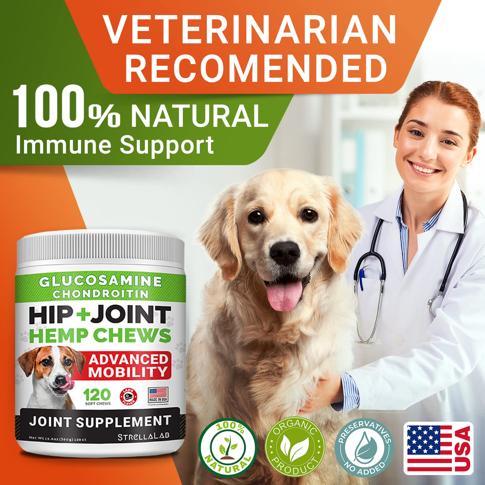 STRELLALAB large breed dog enjoying chew illustrates a simple daily joint care ritual.