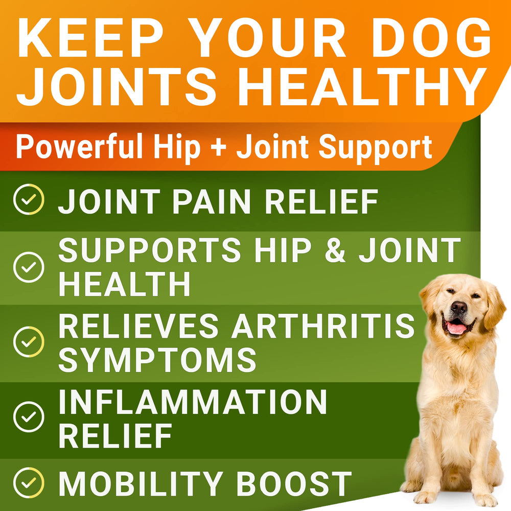 STRELLALAB Liquid Glucosamine for Dogs dosing spoon highlights mess-free supplementation.