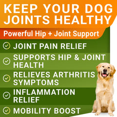 STRELLALAB Liquid Glucosamine for Dogs dosing spoon highlights mess-free supplementation.