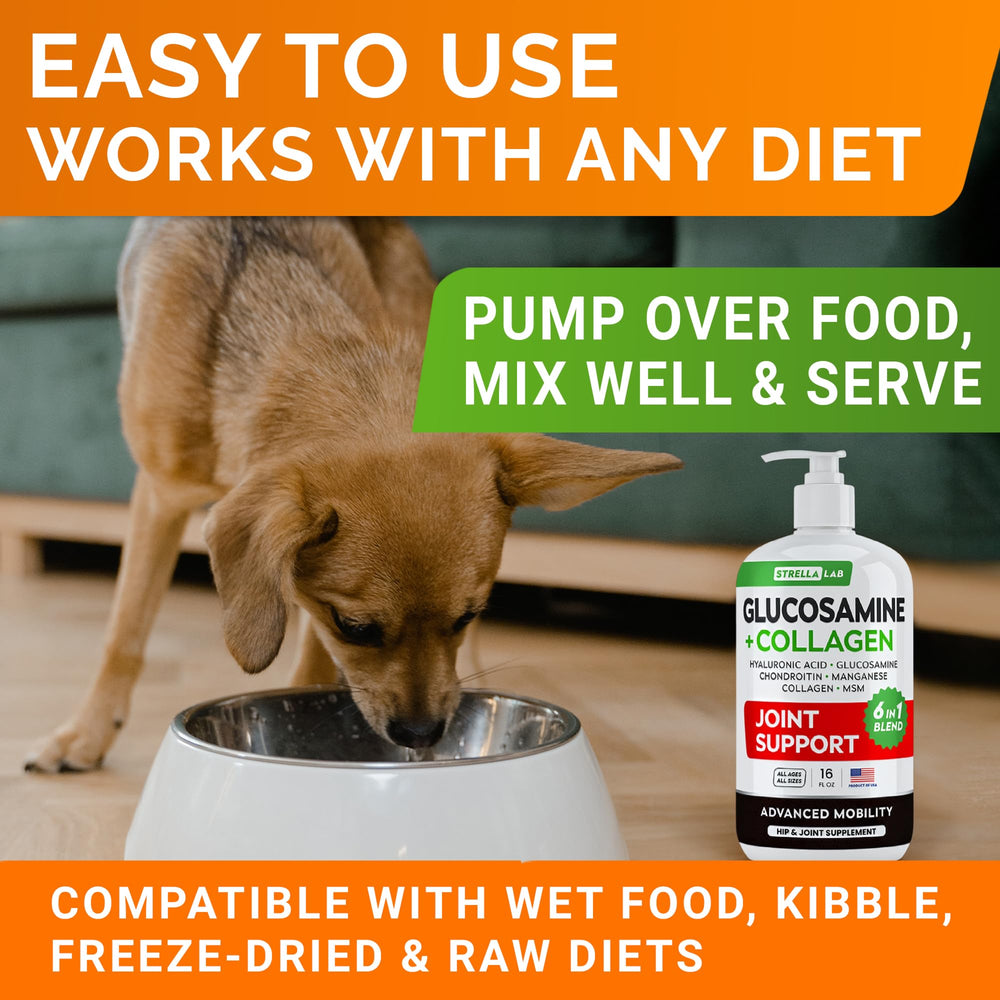 STRELLALAB Liquid Glucosamine for Dogs joint support aids daily activity during movement.