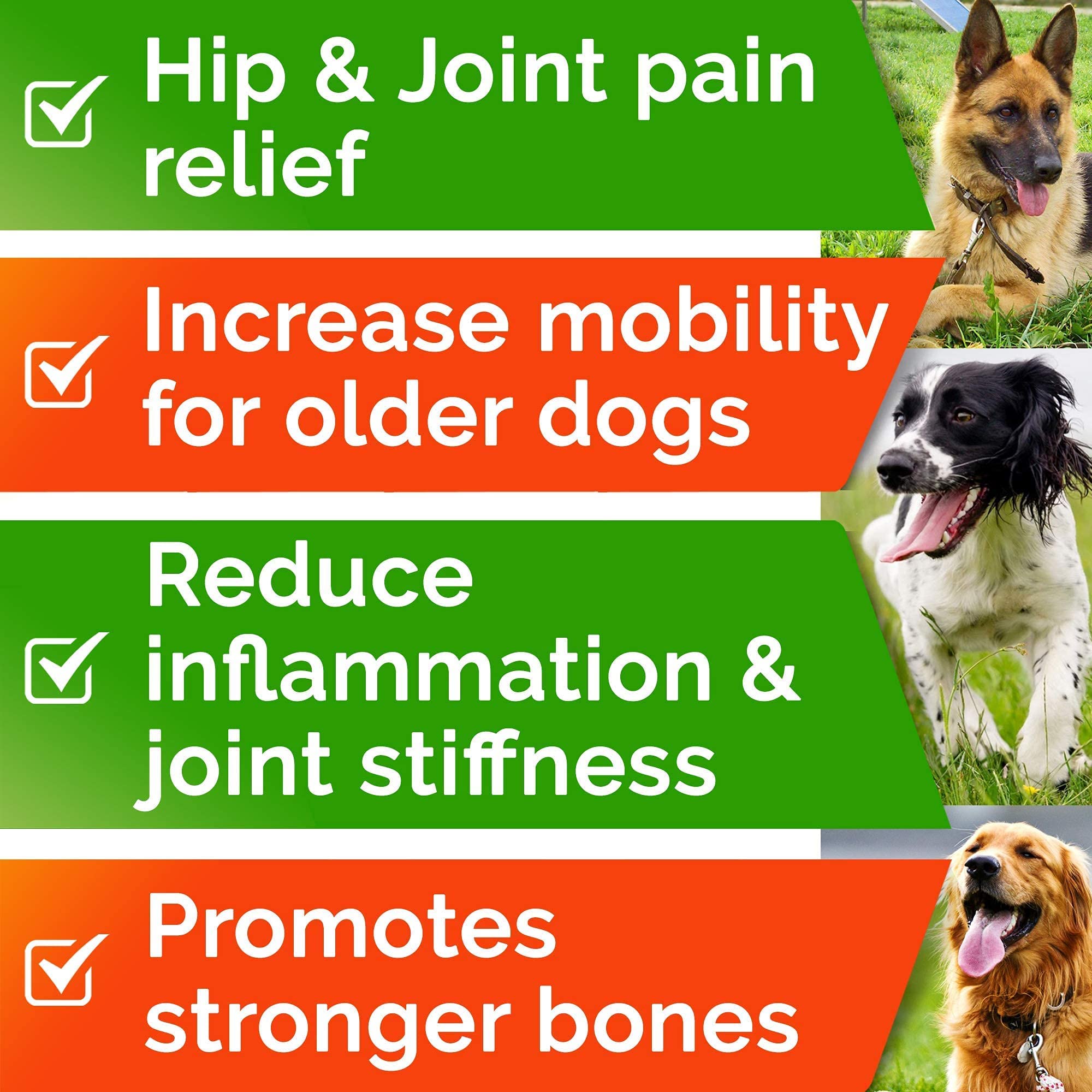 STRELLALAB MSM turmeric dog supplement underlines mobility and comfort cues