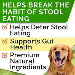 STRELLALAB No Poo Chews in a chew bowl—delicious canine treat that supports digestion.