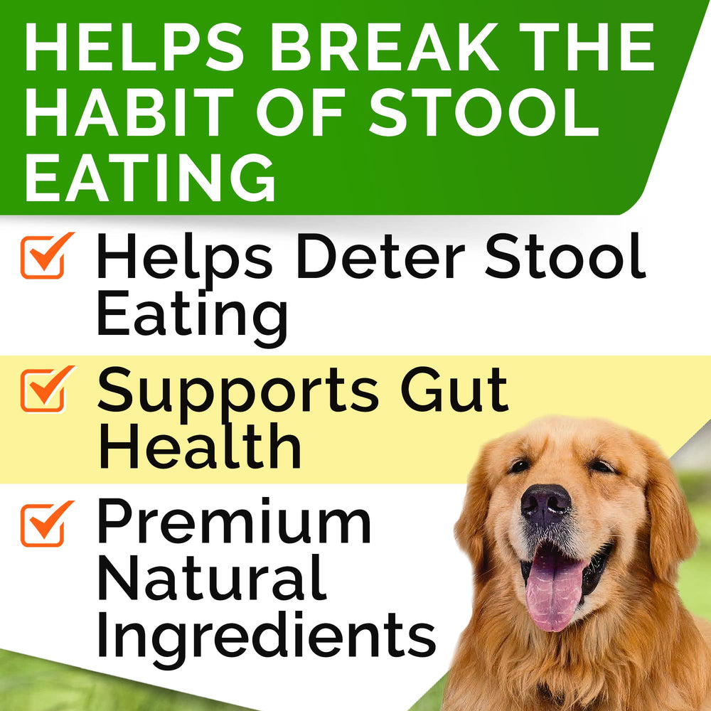 STRELLALAB No Poo Treats soft chews for digestion support.