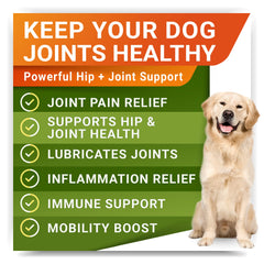STRELLALAB omega3 chondroitin msm dog treats closeup highlighting powerful ingredients.