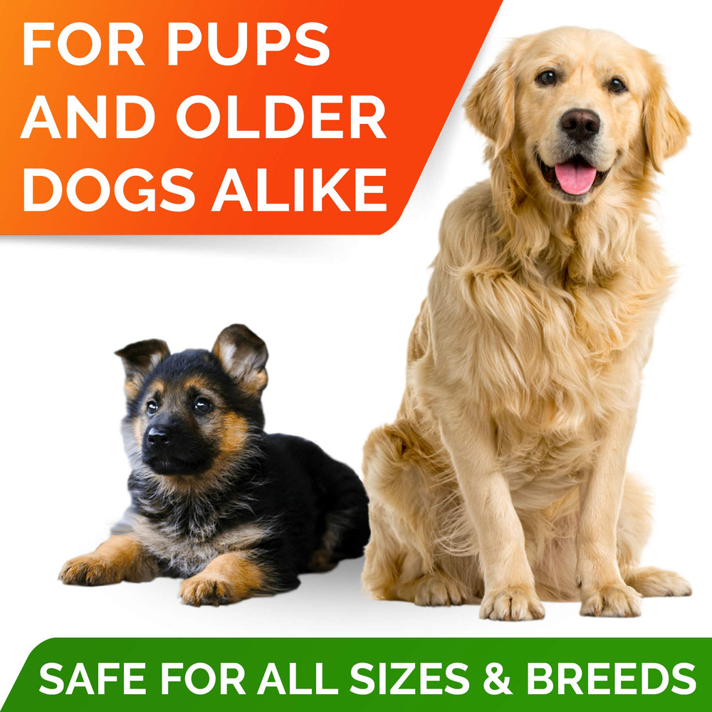 USA-made StrellaLab Omega-3 dog softgels with no soy, dairy or sugar, a pet health option.