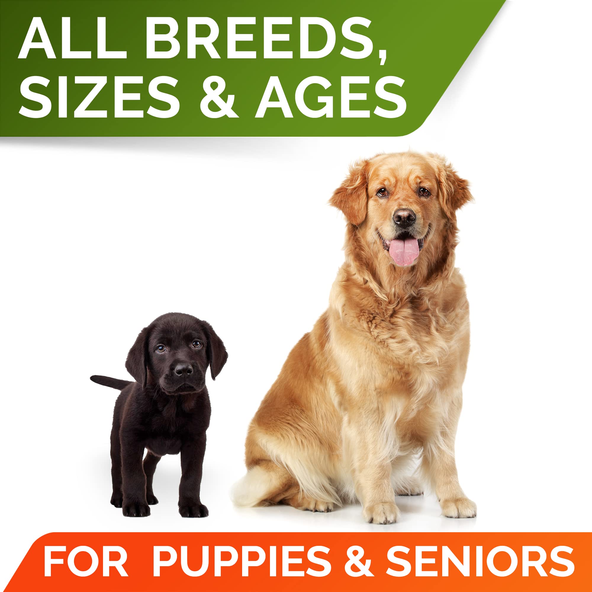 STRELLALAB Pumpkin supports all breeds and ages during daily digestion routines