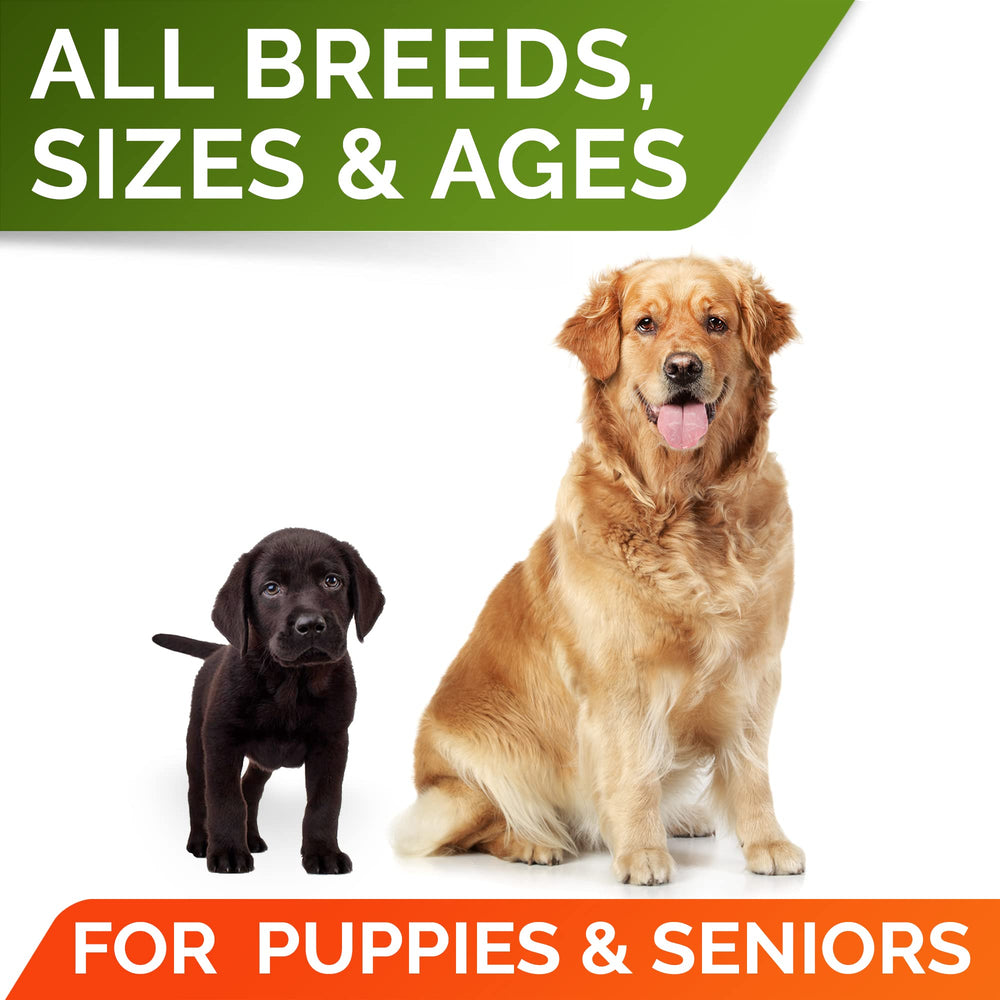 STRELLALAB Pumpkin supports all breeds and ages during daily digestion routines