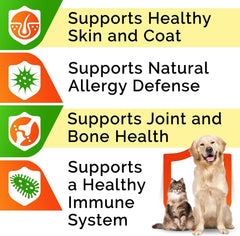 StrellaLab salmon oil added to dog meal for easy serving.
