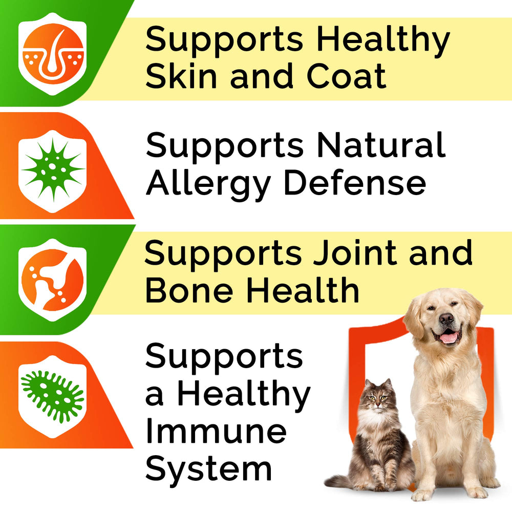 StrellaLab salmon oil on a dog's coat hints at shine and healthy fur.