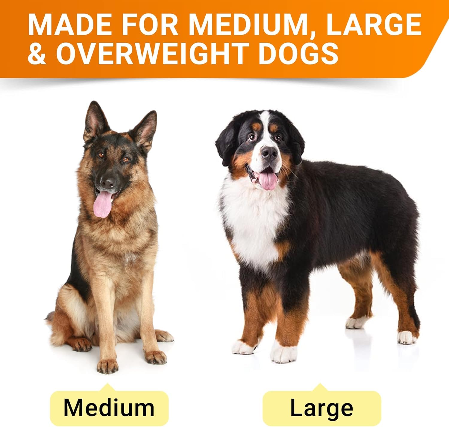 Strellalab senior-dog bacon-flavor chews shown, tasty daily joint support.