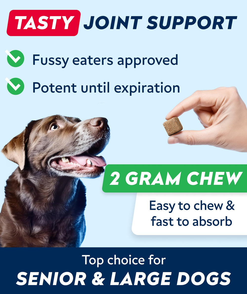 STRELLALAB chewable hip and joint treats for dogs
