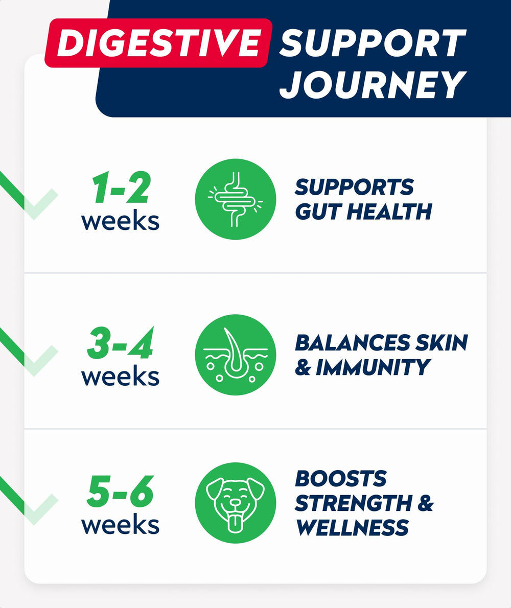 StrellaLab Vet Strength treats suitable for all breeds and ages for digestive comfort.