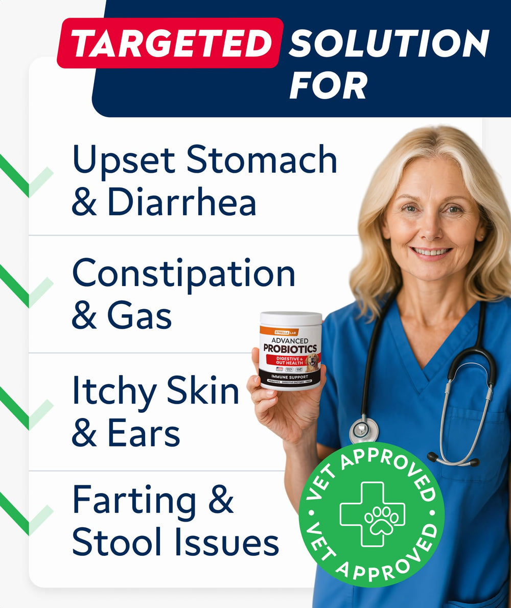 StrellaLab Vet Strength treats with pumpkin enrichment for gentle digestion.