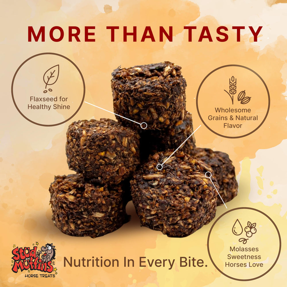 Stud Muffins bulk-pack 60oz treats - durable, portion-ready rewards.