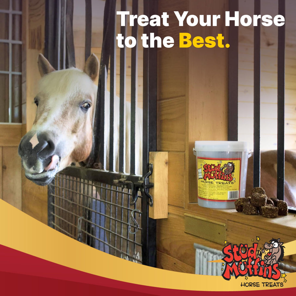 Stud Muffins training-bonding treats - great for motivation and positive reinforcement.